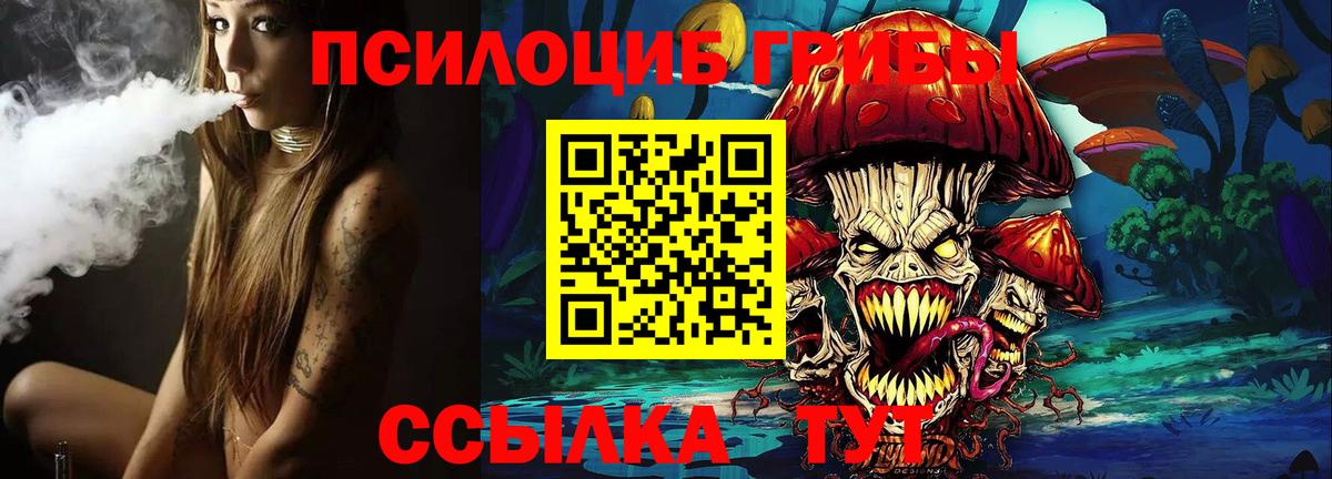 где продают   Галлюциногенные грибы Psilocybine cubensis  Котлас  Вход с VPN  Псилоцибиновые грибы Cubensis 